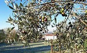 Farma La Collina Delle Streghe *