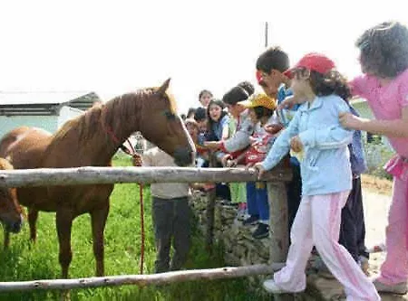 La Collina Delle Streghe *