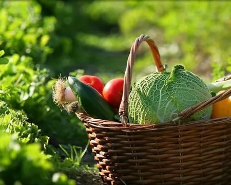 La Collina Delle Streghe