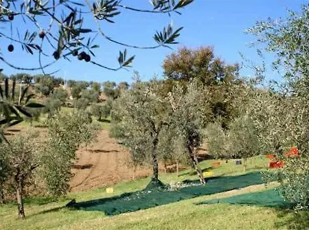 La Collina Delle Streghe Castelbellino