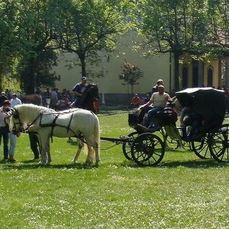 La Collina Delle Streghe Castelbellino